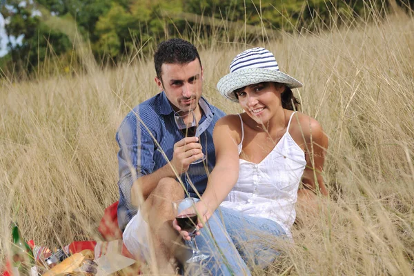 Happy Young Couple Enjoying Picnic Countryside Field Have Good Time Stock Photo