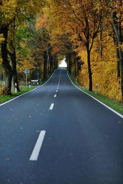 Country Road Autumn Season Bright Orange Colors Morning Sunrise — Stock Photo, Image