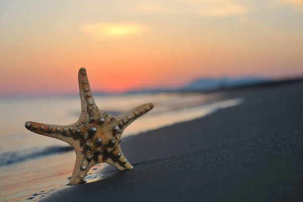 Summer Beach Sunset Star Beach Representing Freedom Freshnes Travel Concept — Stock Photo, Image