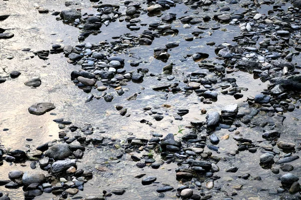 Камни Пляже Окружении Воды — стоковое фото