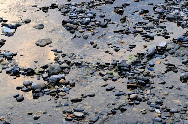 Kamienie Plaży Otoczone Wodą — Zdjęcie stockowe