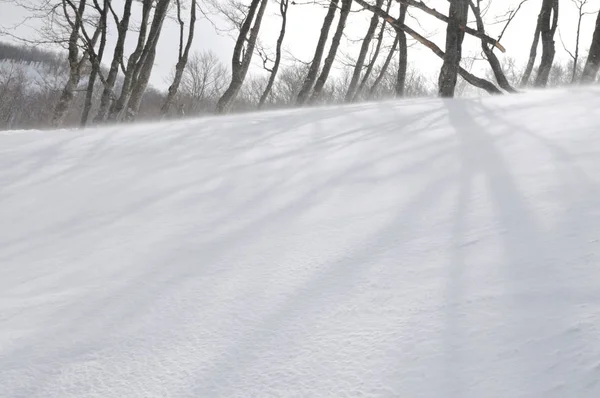 Όμορφο Χειμερινό Τοπίο Πάγο Χιόνι Και Σκληρούς Ανέμους — Φωτογραφία Αρχείου
