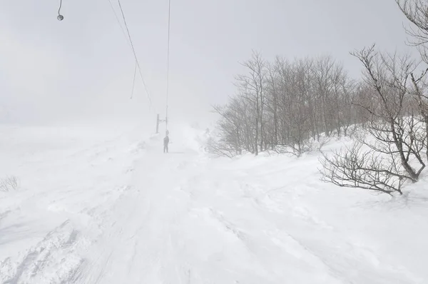 Bellissimo Paesaggio Invernale Con Neve Ghiacciata Venti Forti — Foto Stock