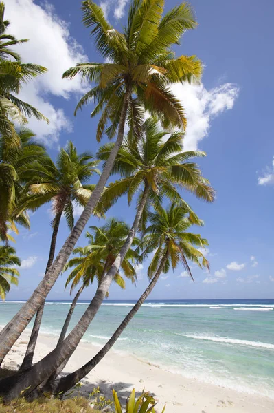 Velero Las Aguas Poco Profundas Cocos Keeling Atolón Océano Índico — Foto de Stock