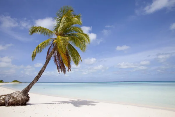 Velero Las Aguas Poco Profundas Cocos Keeling Atolón Océano Índico —  Fotos de Stock