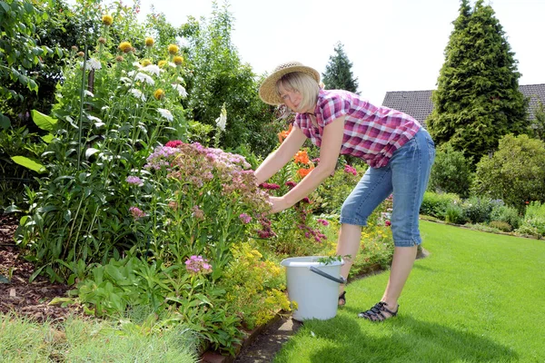 Mulher Regando Plantas Jardim — Fotografia de Stock