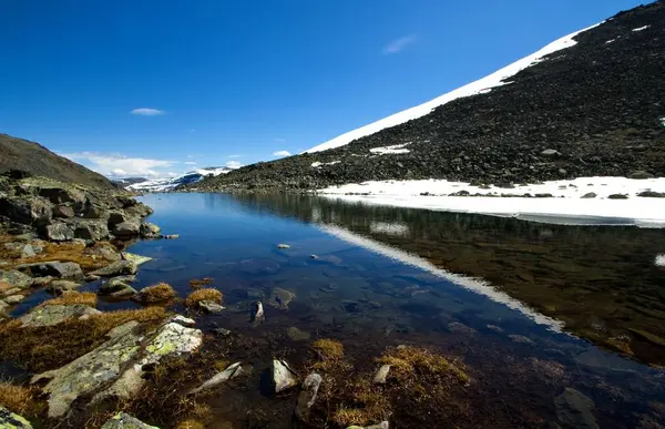 Bella Vista Della Scena Della Natura — Foto Stock