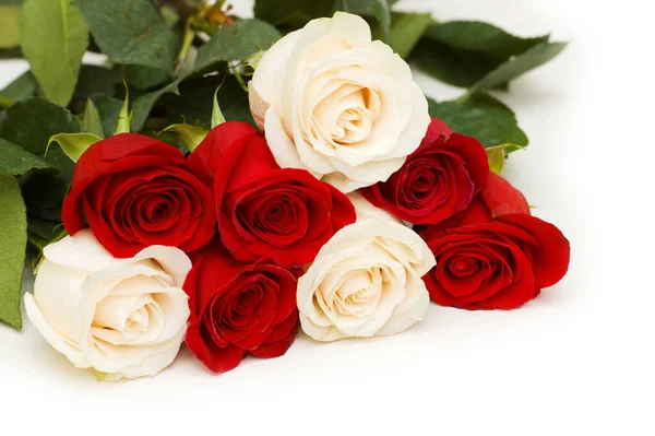 Rosas Rojas Blancas Aisladas Sobre Blanco —  Fotos de Stock