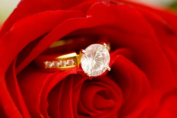 赤いバラの花びらの間のダイヤモンドリング — ストック写真