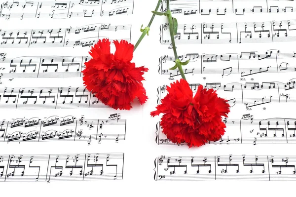 Flor Clavel Rojo Página Notas Musicales — Foto de Stock