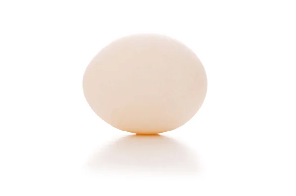 One White Egg Isolated White — Stock Photo, Image