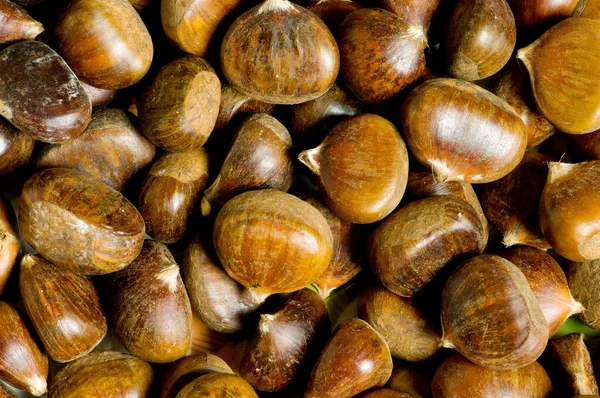 Molte Castagne Disposte Sullo Sfondo — Foto Stock