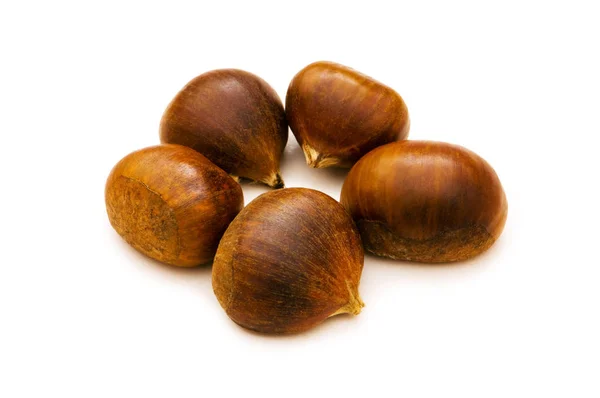 Molte Castagne Isolate Sullo Sfondo Bianco — Foto Stock