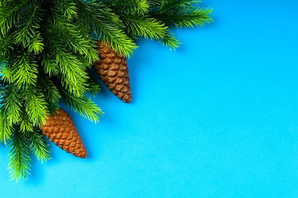 Fir Träd Och Jul Dekoration — Stockfoto
