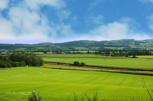 Krajobraz Zieloną Trawą Błękitnym Zachmurzonym Niebem — Zdjęcie stockowe