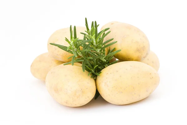 Batatas Alecrim Fresco — Fotografia de Stock