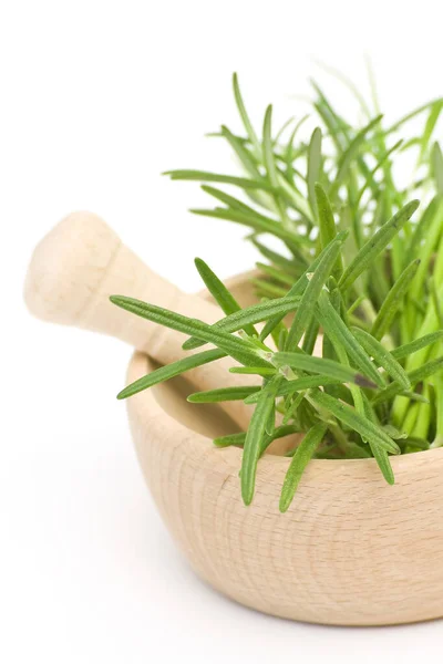 Wooden Mortar Fresh Rosemary — Stock Photo, Image