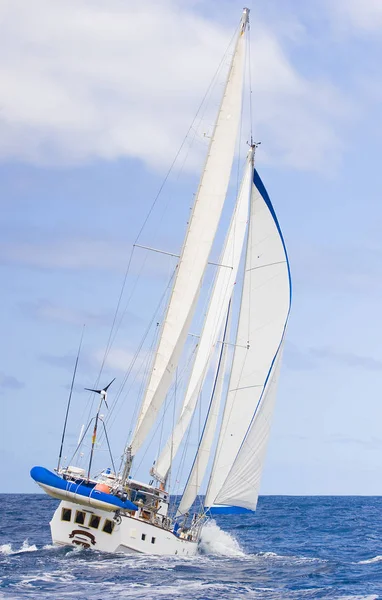 Vízi Jármű Jacht Hajó Vízi Sport — Stock Fotó
