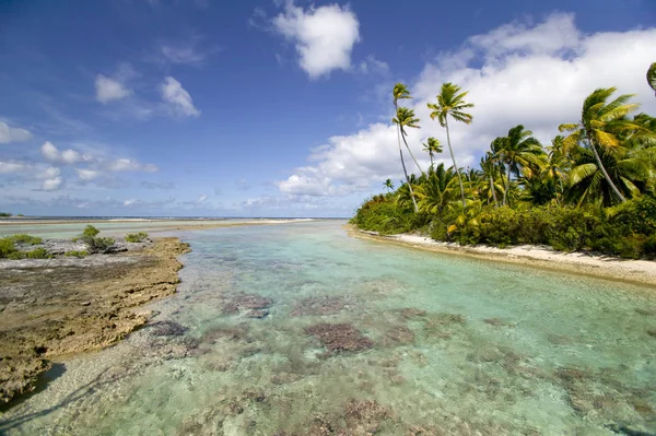 Maldivas Bela Praia Fundo Branco Arenoso Tropical Paraíso Ilha Com — Fotografia de Stock