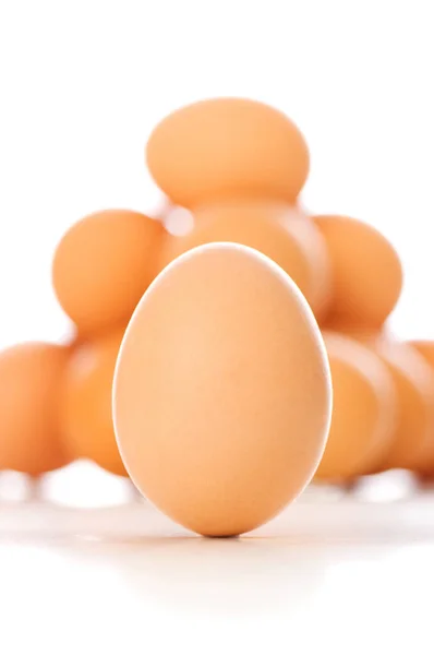 Коричневое Яйцо Белом Мелкая Глубина Резкости — стоковое фото