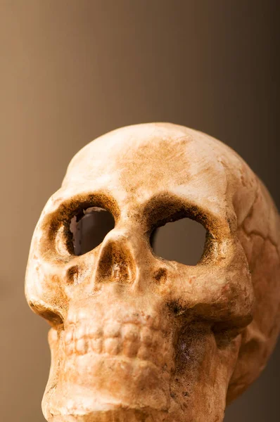 어두운 배경과 인간의 두개골 — 스톡 사진