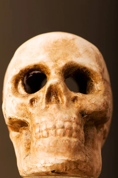 Human Skull Dark Background — Stock Photo, Image
