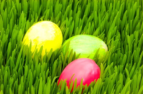 Easter Concept Colourful Eggs Green Glass — Stock Photo, Image