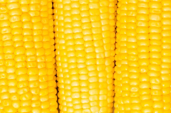 Extreme Close Yellow Corn Cobs — Stock Photo, Image