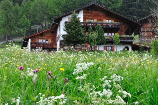 Alm Videgg Bei Meran Südtirol — Stockfoto