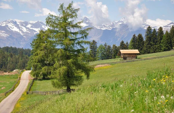 Bela Natureza Tirol Sul — Fotografia de Stock