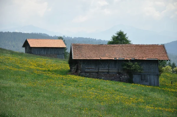 Bela Natureza Tirol Sul — Fotografia de Stock