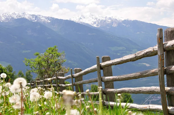 Beautiful Nature South Tyrol — Stock Photo, Image