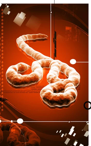Цифровая Иллюстрация Вируса Эбола Цветном Фоне — стоковое фото