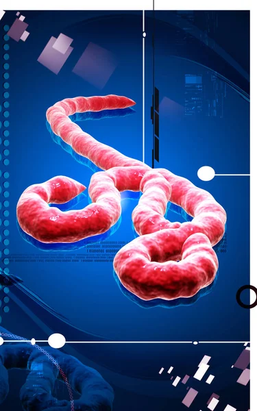 Ilustración Digital Del Virus Del Ébola Fondo Color — Foto de Stock