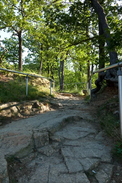 Woonplaats Gntersberge Harz — Stockfoto