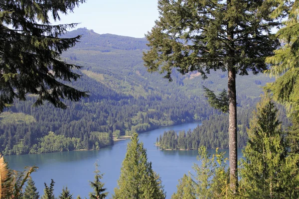 Bosques Que Rodean Gran Lago Suroeste Washington Día Soleado Brillante — Foto de Stock