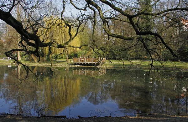 Vijver Het Kuuroord Slechte Salzuflen — Stockfoto