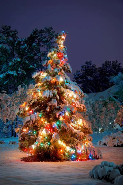 雪はカラフルなライトでクリスマスツリーを覆った — ストック写真
