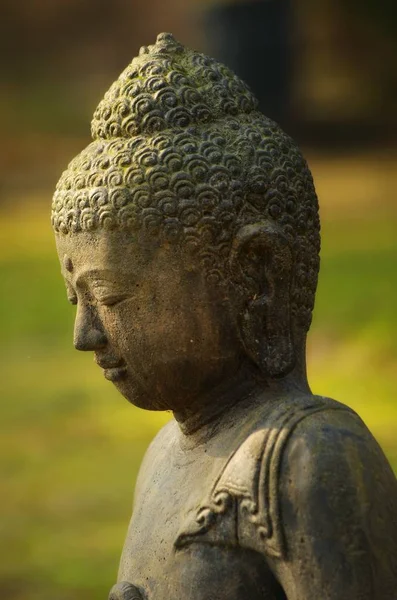 Buddha Statua Testa Profilo — Foto Stock