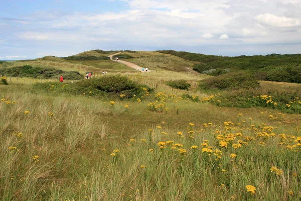 Nas Dunas Domburg — Fotografia de Stock