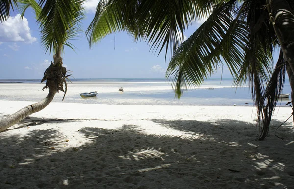 När Tidvattnet Ute Indisk Ocean Seychellerna Praslin — Stockfoto