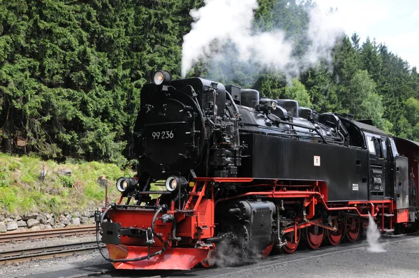 Ferrocarril Vía Estrecha Harz Schirke Viaje Sigue Bromeando —  Fotos de Stock
