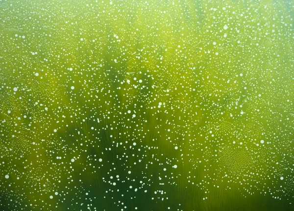 Абстрактный Органический Фон Полупрозрачными Цветами Светлыми Пузырями — стоковое фото