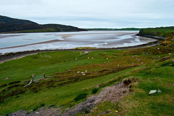 Beaux Paysages Ruraux Coeur Écosse — Photo