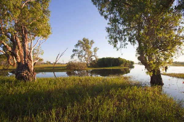 Kakadu Nationalpark Australien — Stockfoto