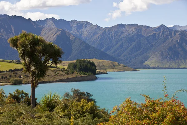 Regione Wanaka Nuova Zelanda — Foto Stock