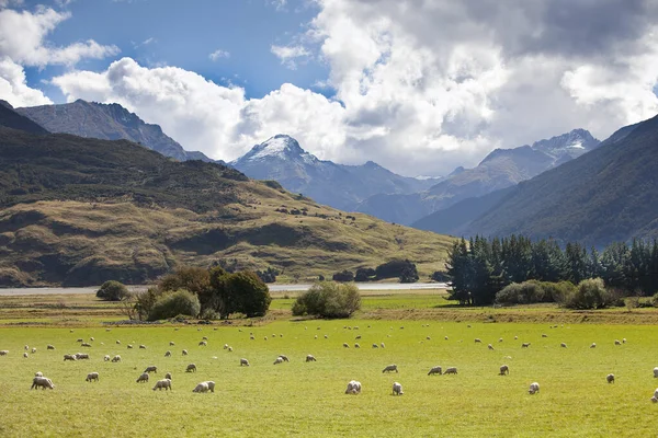 Monte Aspiranti Nuova Zelanda — Foto Stock