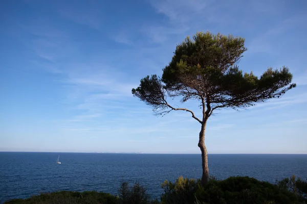 Vistas Costa Mallorquina — Foto de Stock