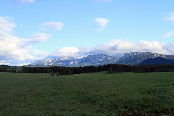 Munitie Bij Fhn Met Alpenblick Het Voorjaar — Stockfoto