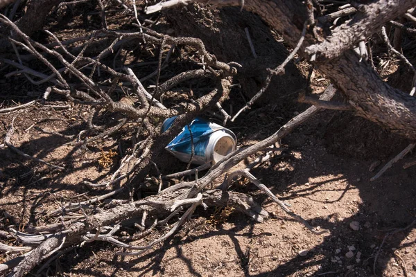 Old Beverage Can Hanging Tree — Stock Photo, Image